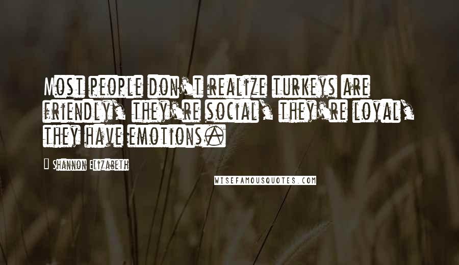 Shannon Elizabeth Quotes: Most people don't realize turkeys are friendly, they're social, they're loyal, they have emotions.