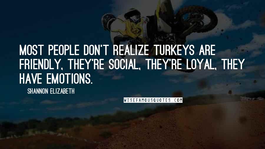 Shannon Elizabeth Quotes: Most people don't realize turkeys are friendly, they're social, they're loyal, they have emotions.
