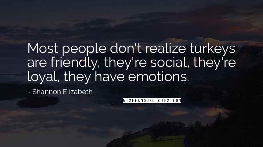 Shannon Elizabeth Quotes: Most people don't realize turkeys are friendly, they're social, they're loyal, they have emotions.