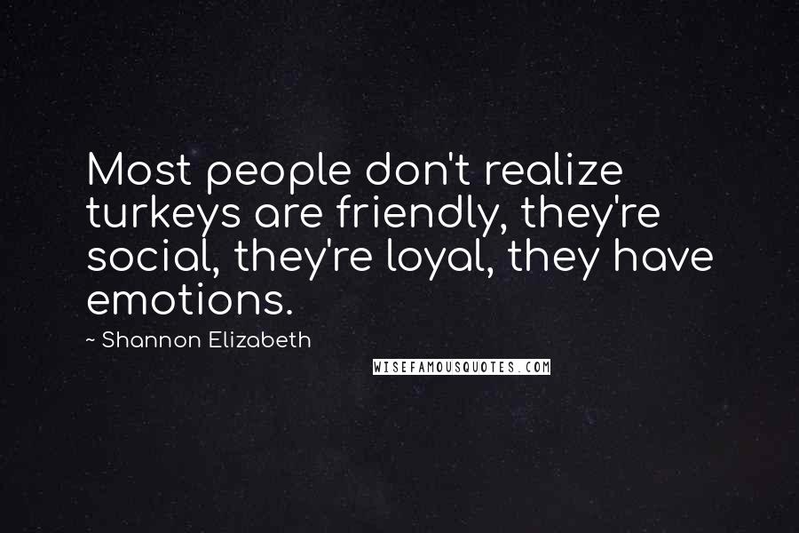 Shannon Elizabeth Quotes: Most people don't realize turkeys are friendly, they're social, they're loyal, they have emotions.