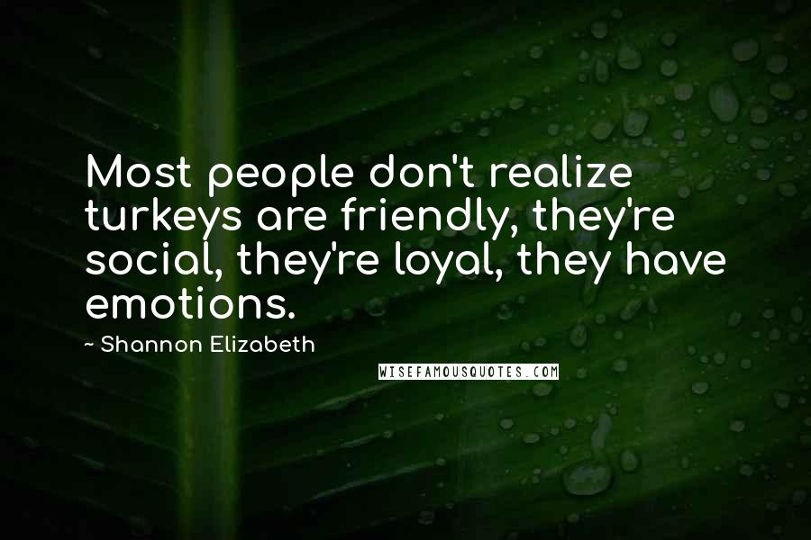 Shannon Elizabeth Quotes: Most people don't realize turkeys are friendly, they're social, they're loyal, they have emotions.