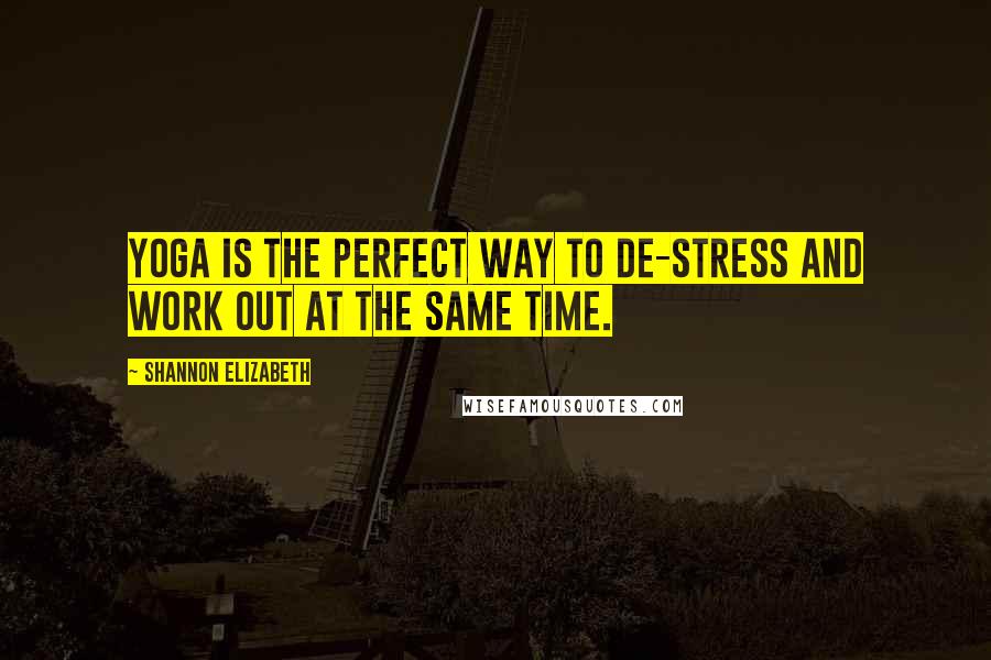 Shannon Elizabeth Quotes: Yoga is the perfect way to de-stress and work out at the same time.