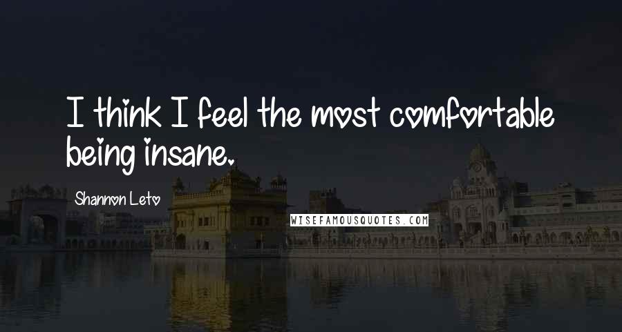 Shannon Leto Quotes: I think I feel the most comfortable being insane.