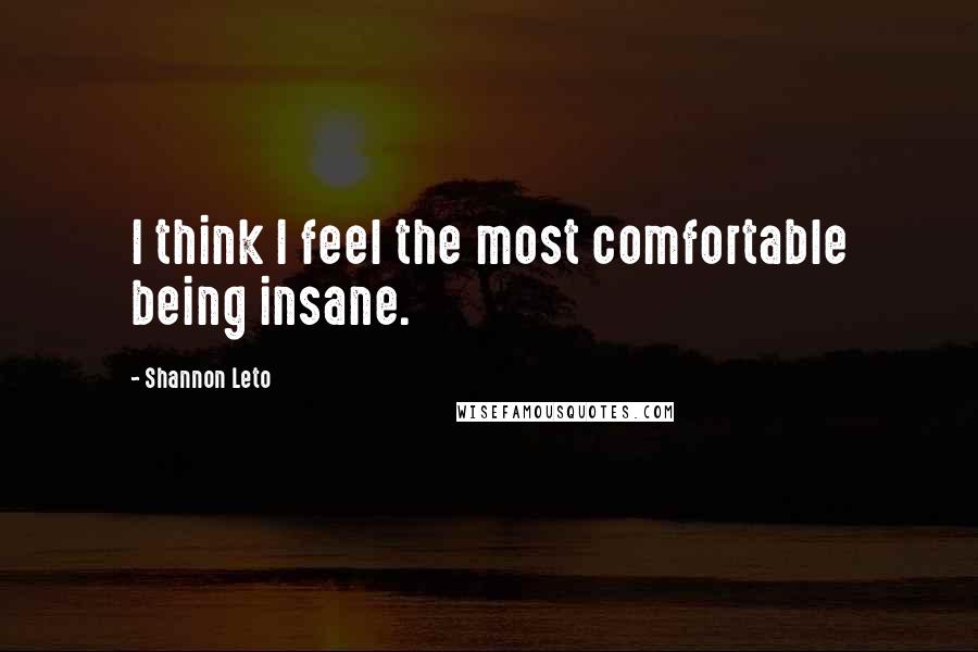 Shannon Leto Quotes: I think I feel the most comfortable being insane.