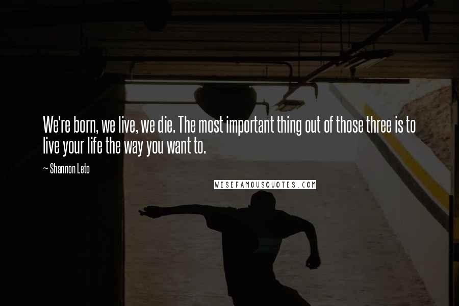 Shannon Leto Quotes: We're born, we live, we die. The most important thing out of those three is to live your life the way you want to.