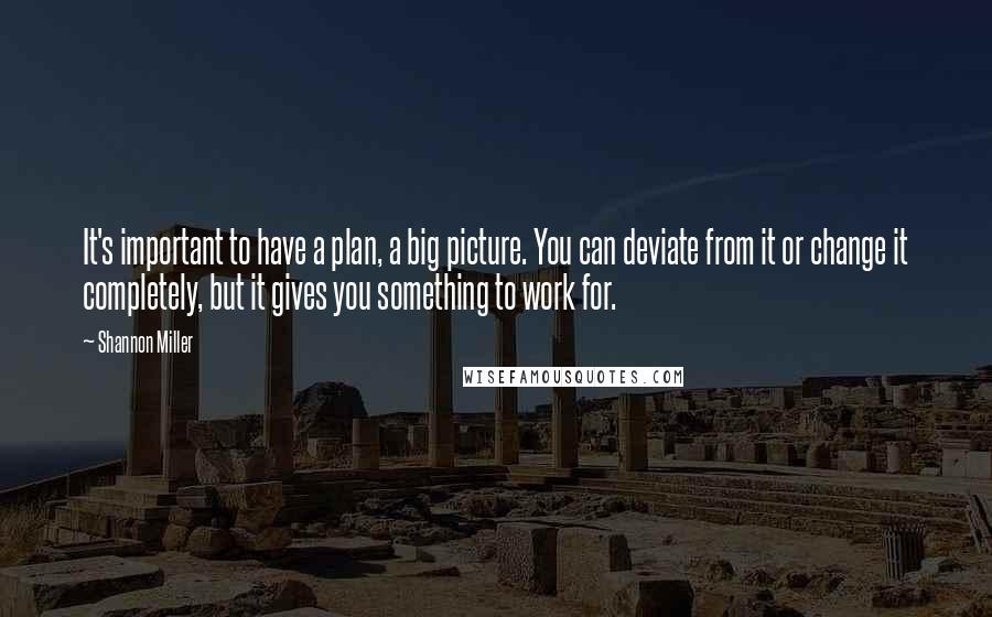 Shannon Miller Quotes: It's important to have a plan, a big picture. You can deviate from it or change it completely, but it gives you something to work for.