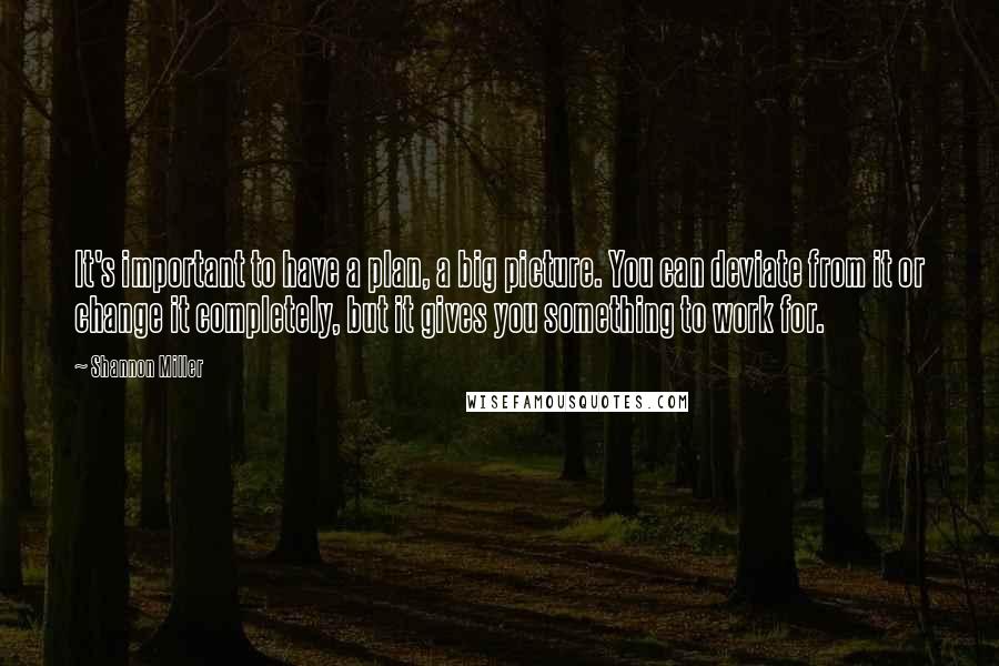 Shannon Miller Quotes: It's important to have a plan, a big picture. You can deviate from it or change it completely, but it gives you something to work for.