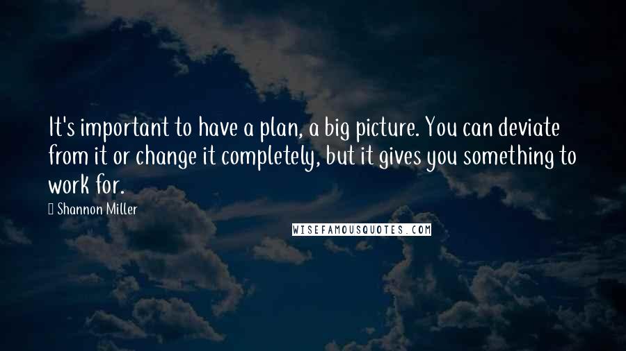 Shannon Miller Quotes: It's important to have a plan, a big picture. You can deviate from it or change it completely, but it gives you something to work for.