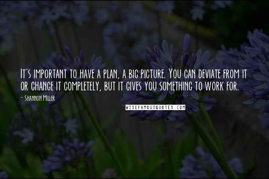 Shannon Miller Quotes: It's important to have a plan, a big picture. You can deviate from it or change it completely, but it gives you something to work for.