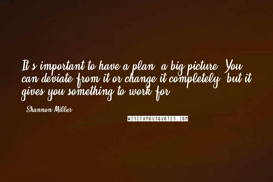 Shannon Miller Quotes: It's important to have a plan, a big picture. You can deviate from it or change it completely, but it gives you something to work for.