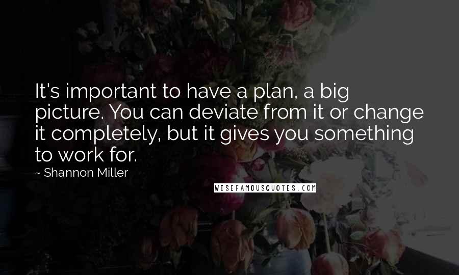 Shannon Miller Quotes: It's important to have a plan, a big picture. You can deviate from it or change it completely, but it gives you something to work for.