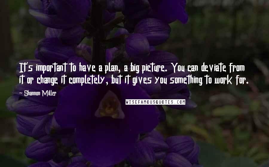 Shannon Miller Quotes: It's important to have a plan, a big picture. You can deviate from it or change it completely, but it gives you something to work for.