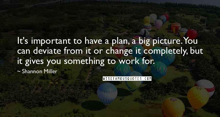 Shannon Miller Quotes: It's important to have a plan, a big picture. You can deviate from it or change it completely, but it gives you something to work for.