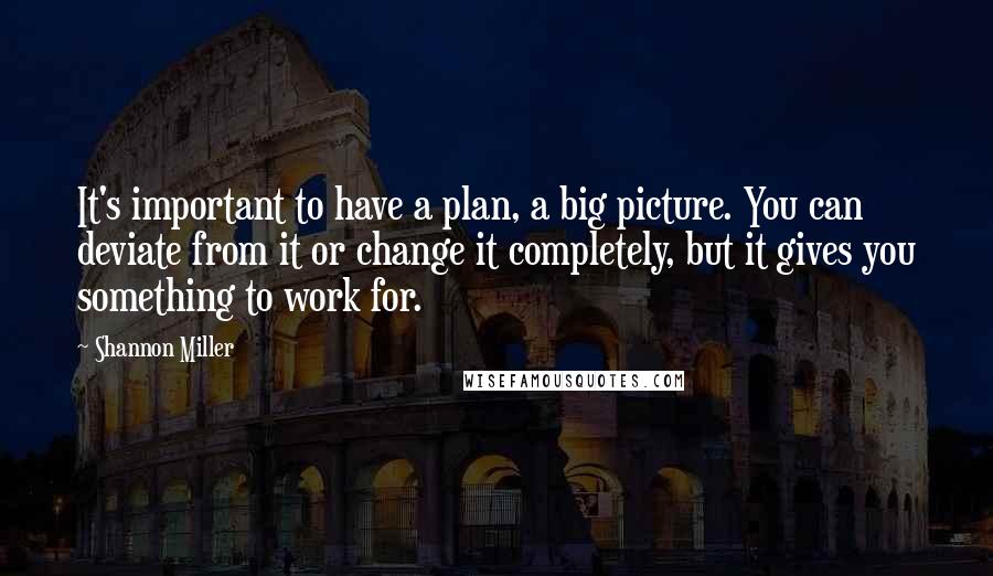 Shannon Miller Quotes: It's important to have a plan, a big picture. You can deviate from it or change it completely, but it gives you something to work for.