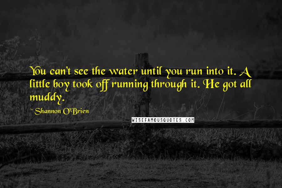 Shannon O'Brien Quotes: You can't see the water until you run into it. A little boy took off running through it. He got all muddy.
