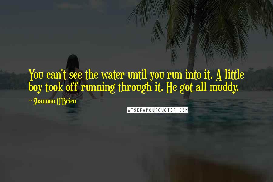 Shannon O'Brien Quotes: You can't see the water until you run into it. A little boy took off running through it. He got all muddy.