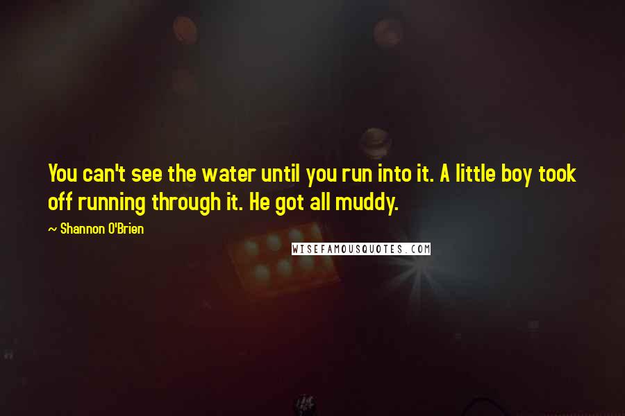 Shannon O'Brien Quotes: You can't see the water until you run into it. A little boy took off running through it. He got all muddy.