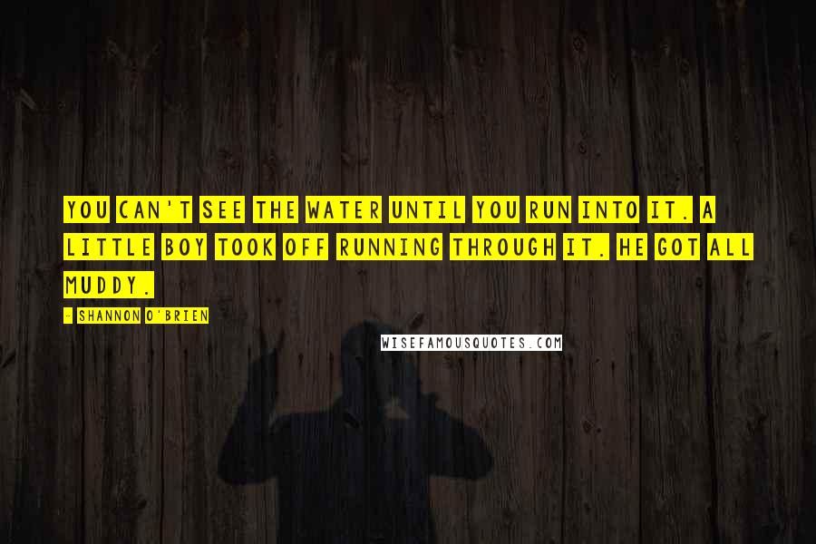 Shannon O'Brien Quotes: You can't see the water until you run into it. A little boy took off running through it. He got all muddy.