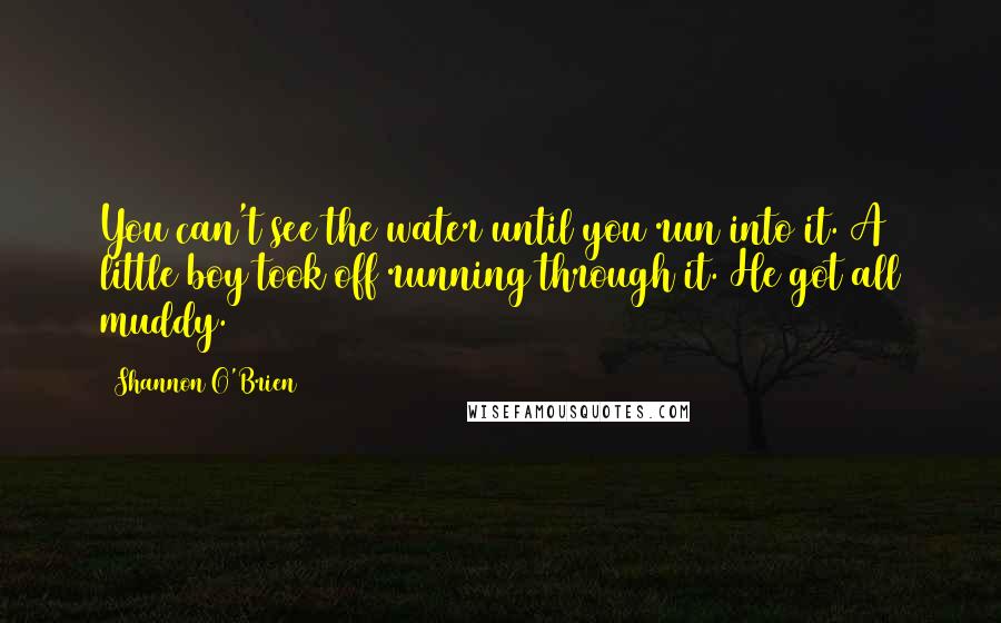 Shannon O'Brien Quotes: You can't see the water until you run into it. A little boy took off running through it. He got all muddy.