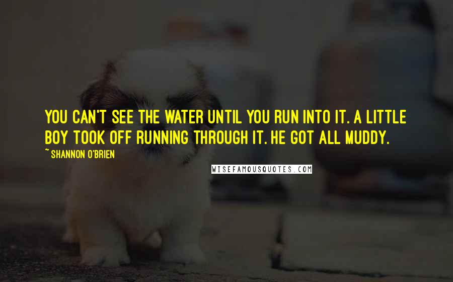 Shannon O'Brien Quotes: You can't see the water until you run into it. A little boy took off running through it. He got all muddy.