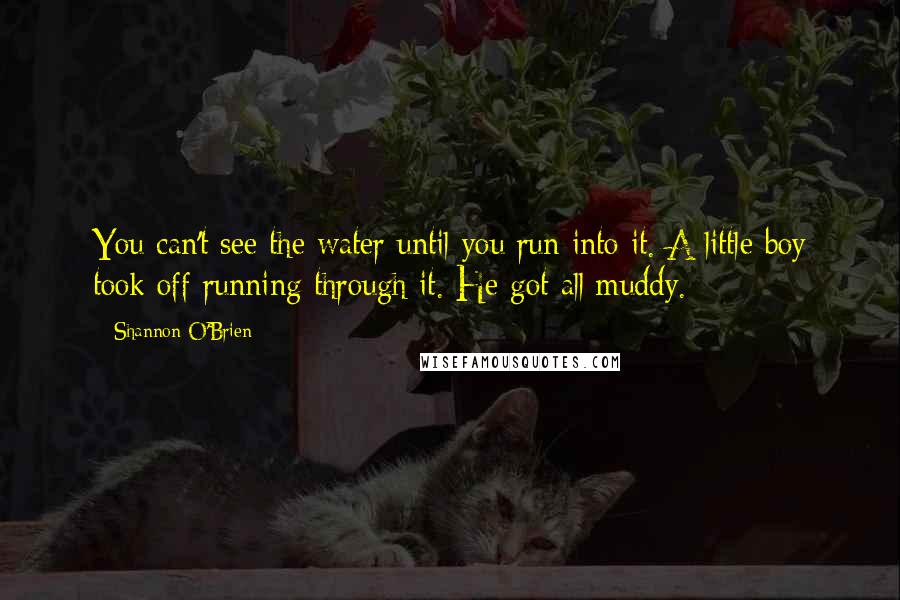 Shannon O'Brien Quotes: You can't see the water until you run into it. A little boy took off running through it. He got all muddy.