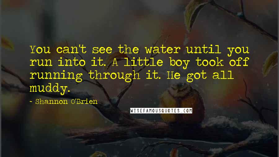 Shannon O'Brien Quotes: You can't see the water until you run into it. A little boy took off running through it. He got all muddy.