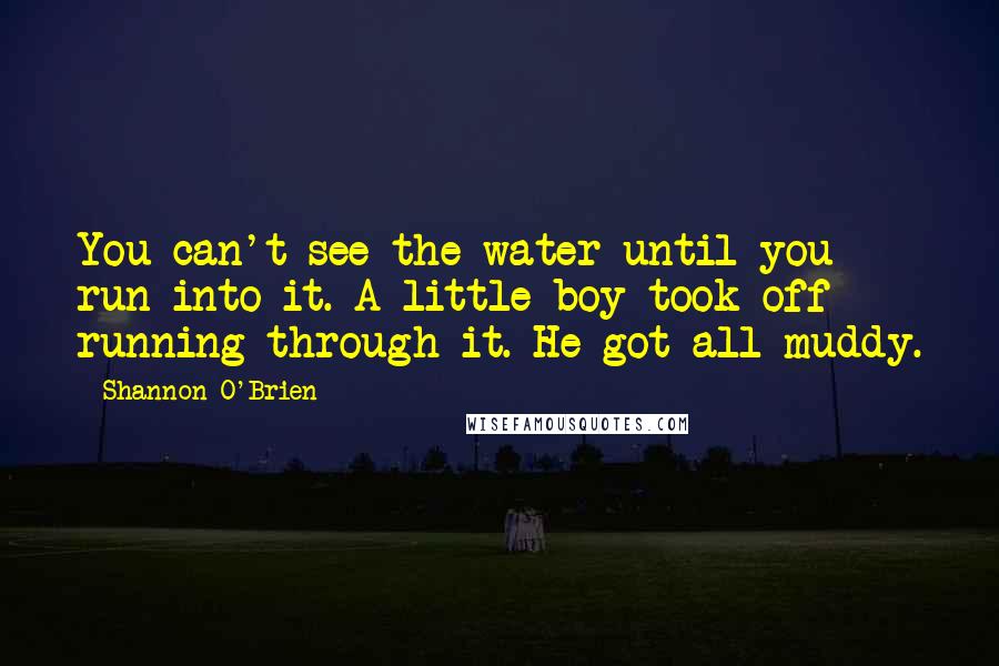Shannon O'Brien Quotes: You can't see the water until you run into it. A little boy took off running through it. He got all muddy.
