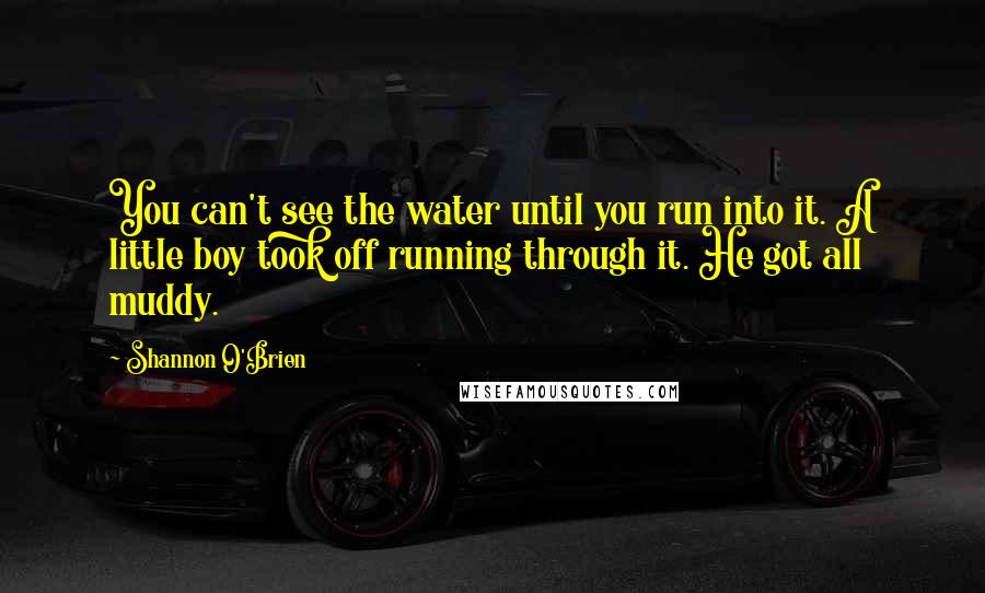 Shannon O'Brien Quotes: You can't see the water until you run into it. A little boy took off running through it. He got all muddy.