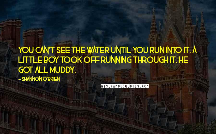 Shannon O'Brien Quotes: You can't see the water until you run into it. A little boy took off running through it. He got all muddy.