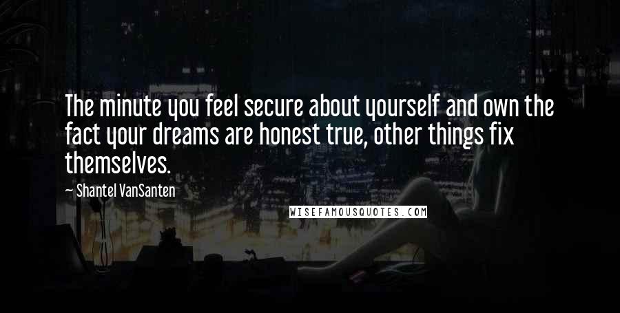 Shantel VanSanten Quotes: The minute you feel secure about yourself and own the fact your dreams are honest true, other things fix themselves.