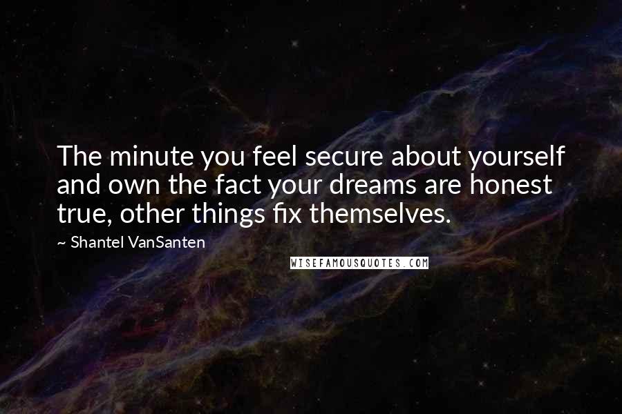 Shantel VanSanten Quotes: The minute you feel secure about yourself and own the fact your dreams are honest true, other things fix themselves.