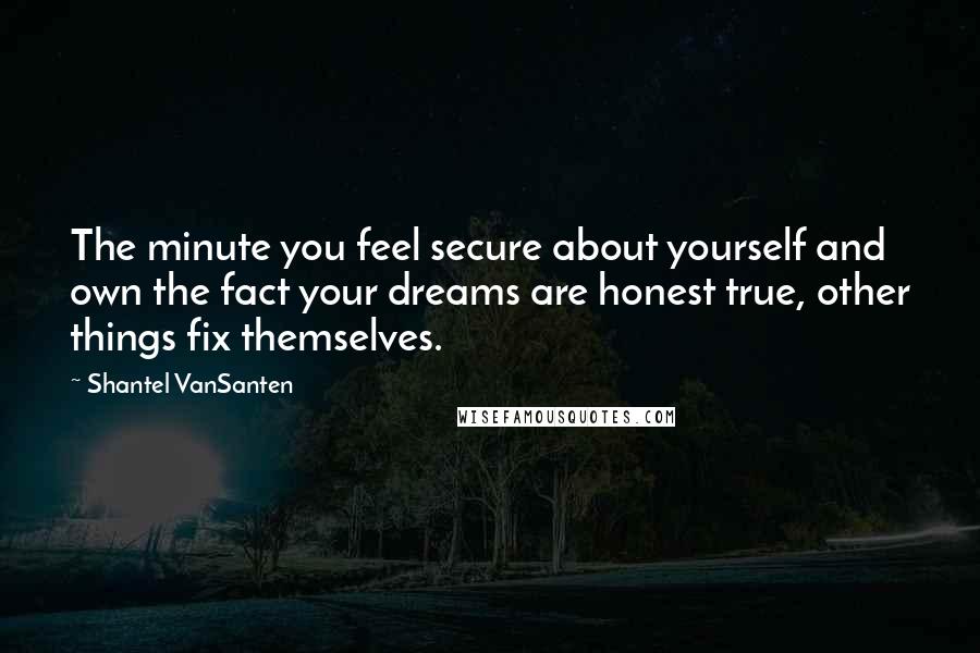 Shantel VanSanten Quotes: The minute you feel secure about yourself and own the fact your dreams are honest true, other things fix themselves.