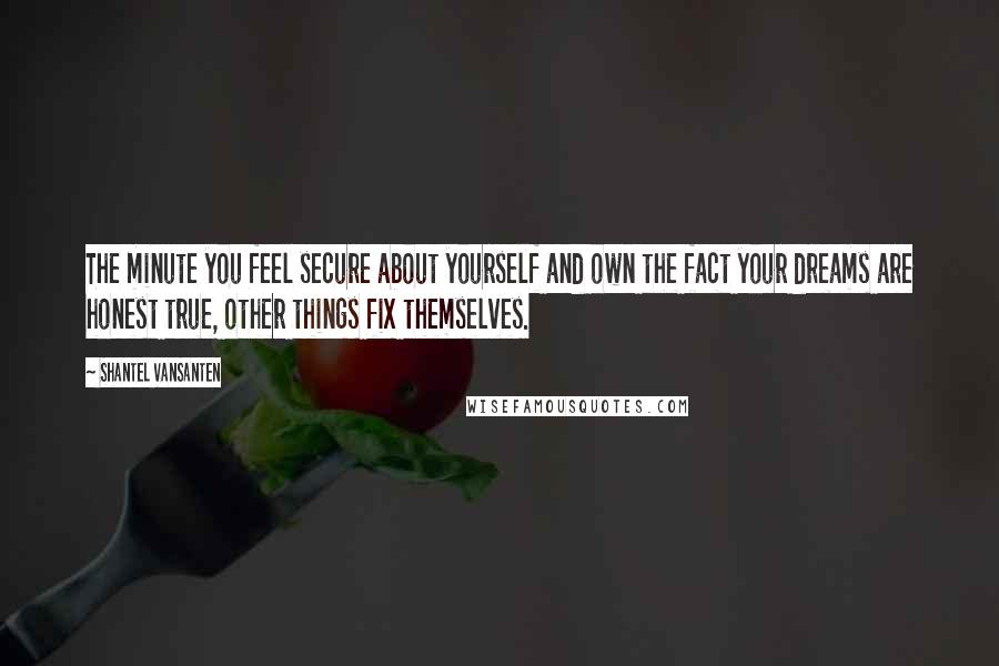 Shantel VanSanten Quotes: The minute you feel secure about yourself and own the fact your dreams are honest true, other things fix themselves.