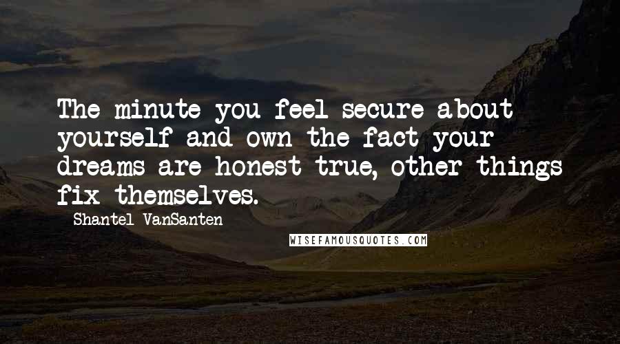 Shantel VanSanten Quotes: The minute you feel secure about yourself and own the fact your dreams are honest true, other things fix themselves.