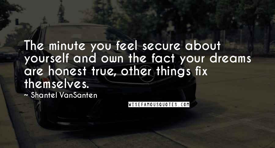 Shantel VanSanten Quotes: The minute you feel secure about yourself and own the fact your dreams are honest true, other things fix themselves.