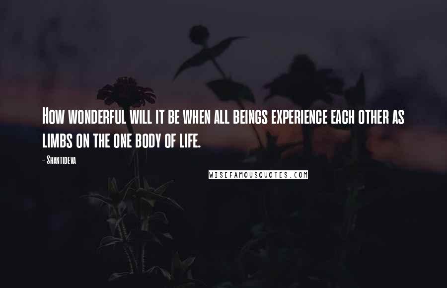 Shantideva Quotes: How wonderful will it be when all beings experience each other as limbs on the one body of life.