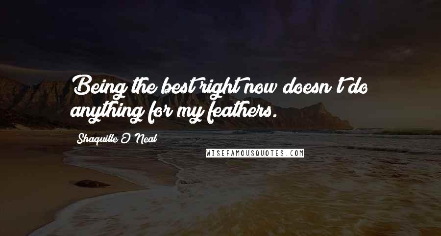 Shaquille O'Neal Quotes: Being the best right now doesn't do anything for my feathers.