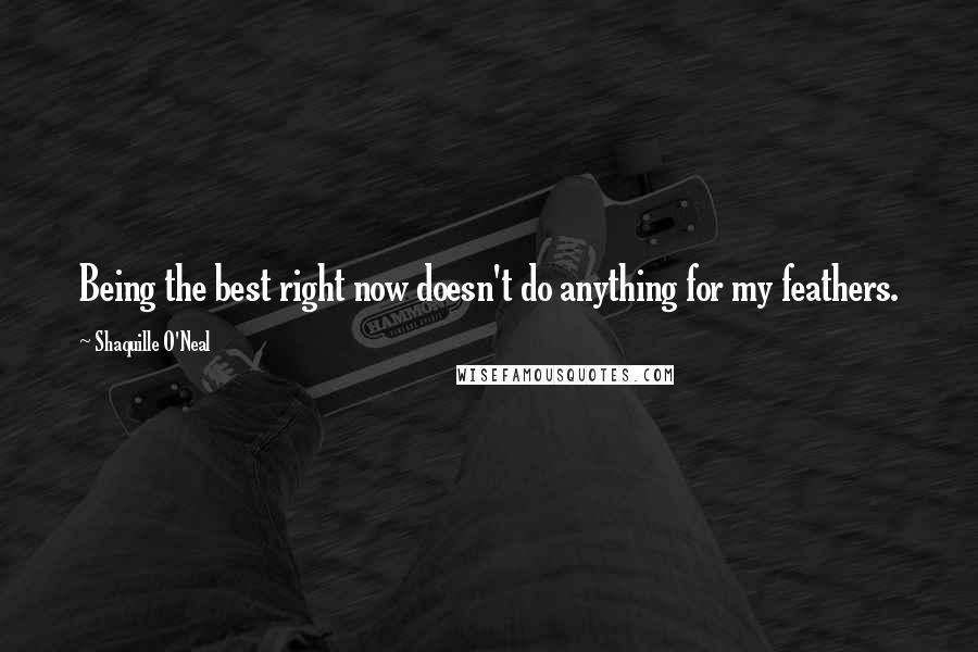 Shaquille O'Neal Quotes: Being the best right now doesn't do anything for my feathers.