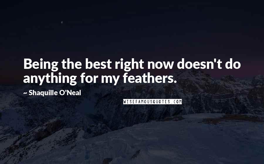 Shaquille O'Neal Quotes: Being the best right now doesn't do anything for my feathers.
