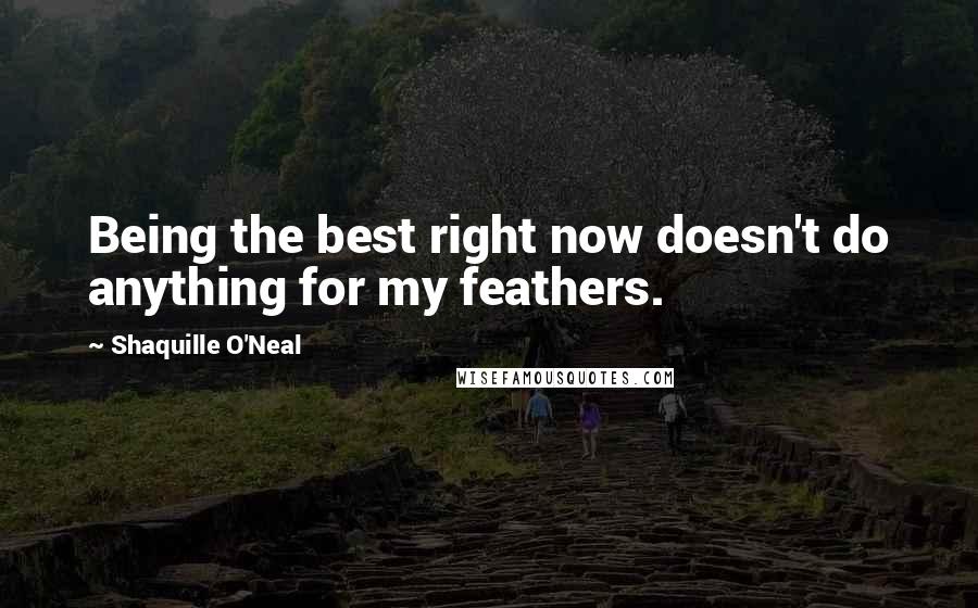 Shaquille O'Neal Quotes: Being the best right now doesn't do anything for my feathers.