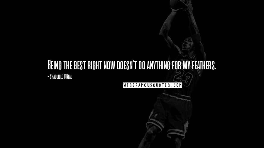Shaquille O'Neal Quotes: Being the best right now doesn't do anything for my feathers.