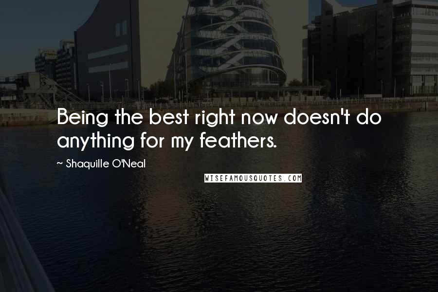 Shaquille O'Neal Quotes: Being the best right now doesn't do anything for my feathers.