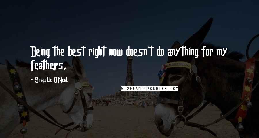 Shaquille O'Neal Quotes: Being the best right now doesn't do anything for my feathers.