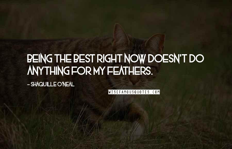 Shaquille O'Neal Quotes: Being the best right now doesn't do anything for my feathers.