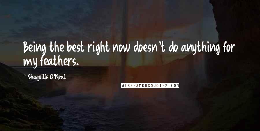 Shaquille O'Neal Quotes: Being the best right now doesn't do anything for my feathers.