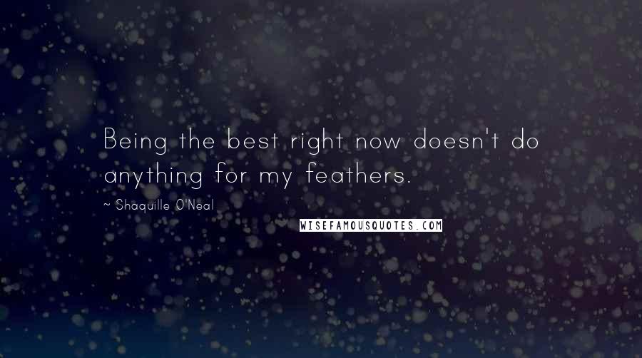 Shaquille O'Neal Quotes: Being the best right now doesn't do anything for my feathers.