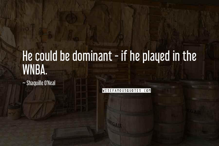 Shaquille O'Neal Quotes: He could be dominant - if he played in the WNBA.