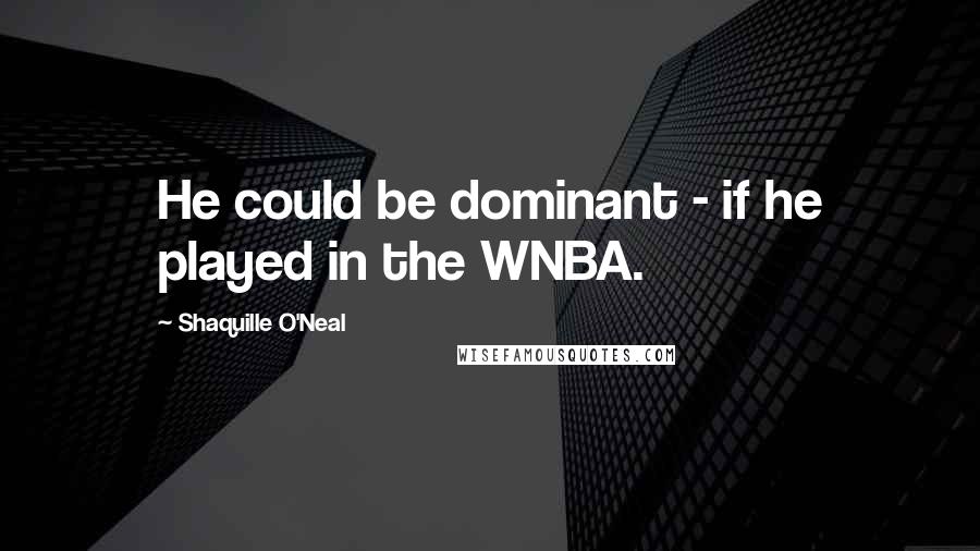 Shaquille O'Neal Quotes: He could be dominant - if he played in the WNBA.