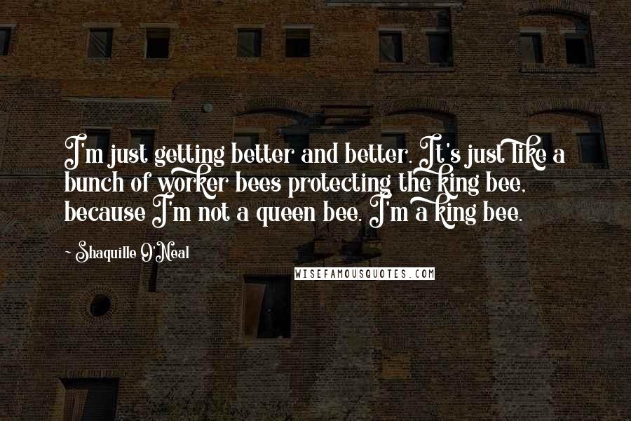 Shaquille O'Neal Quotes: I'm just getting better and better. It's just like a bunch of worker bees protecting the king bee, because I'm not a queen bee. I'm a king bee.