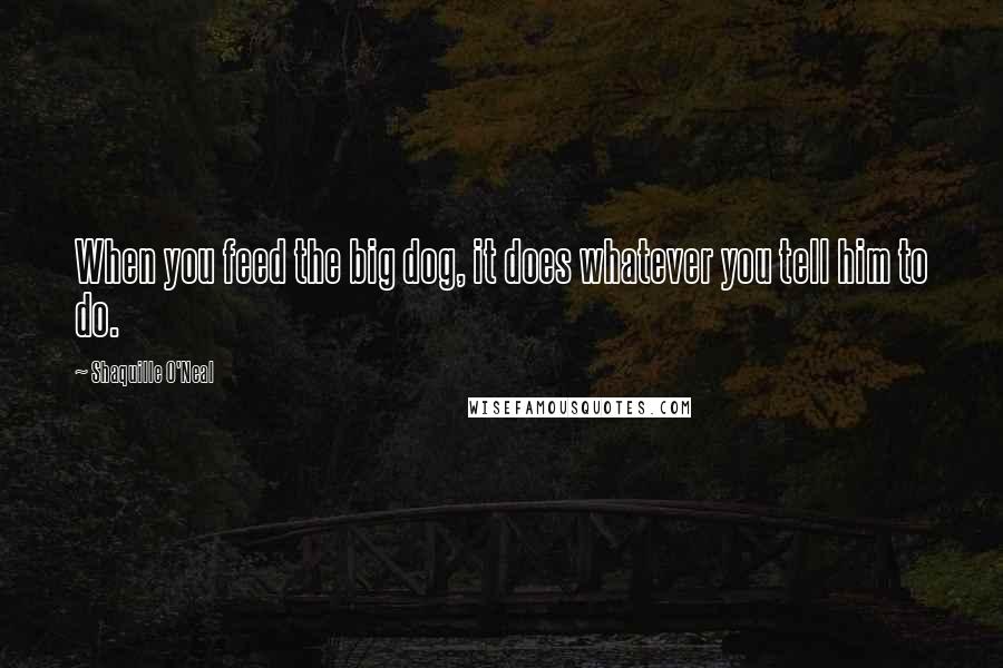 Shaquille O'Neal Quotes: When you feed the big dog, it does whatever you tell him to do.